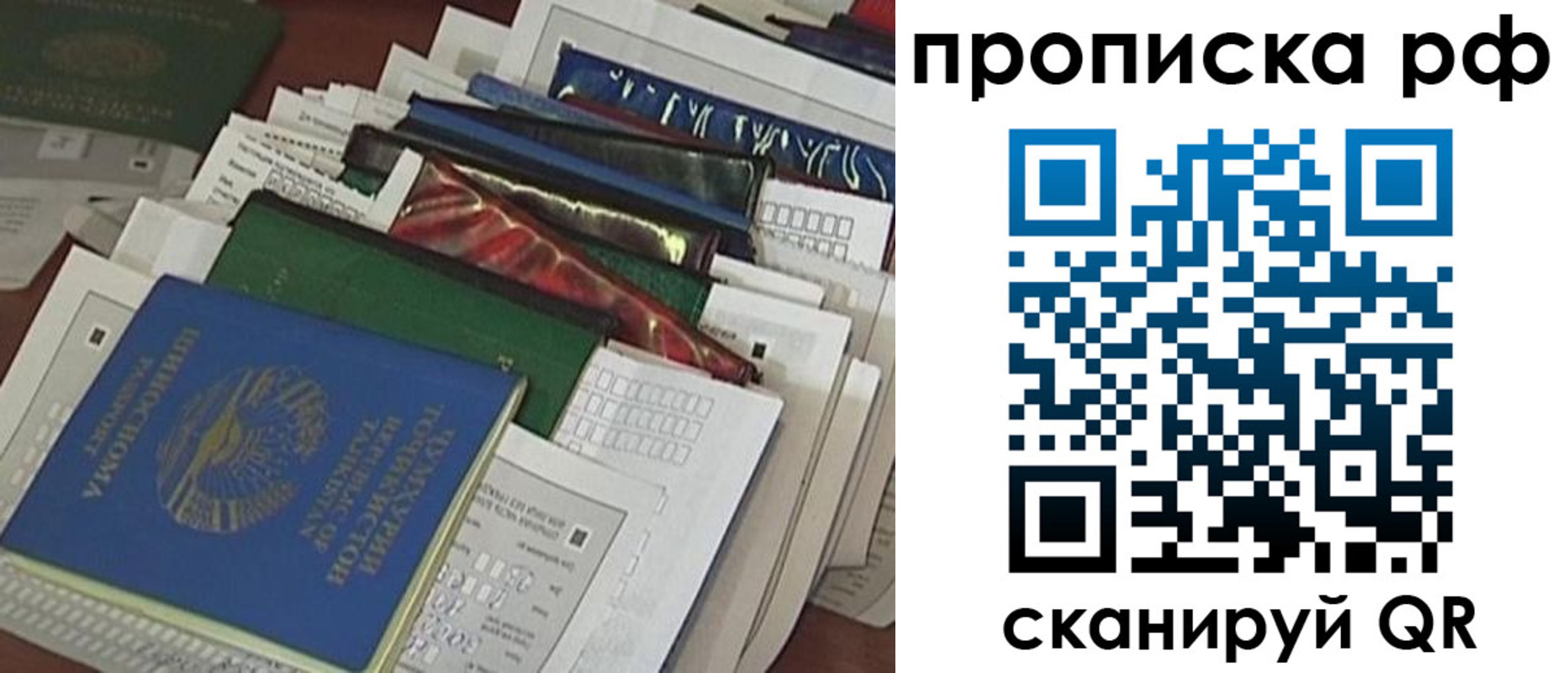 прописка в Ельне