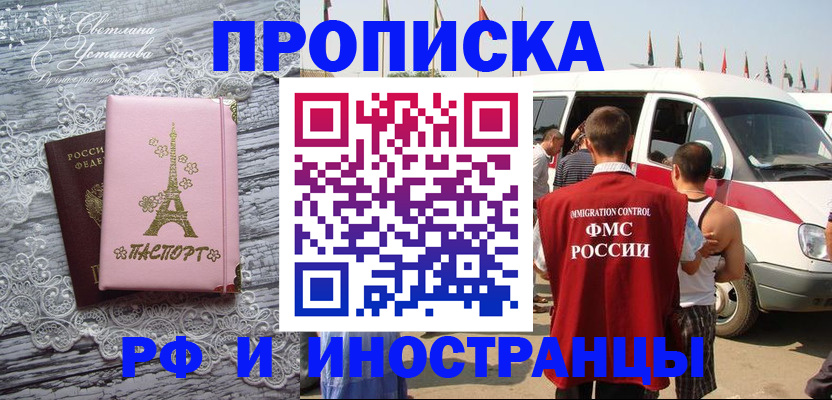 прописка поиск в Ельне
